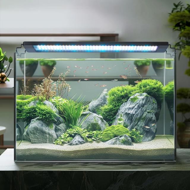 Aquatic supplies — planted rimless aquarium with fish
