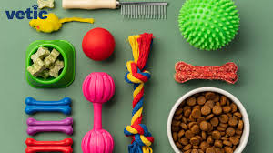 Dog supplies — toys, bowls and treats arranged on a flat lay